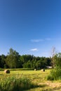 Hayfield under blue sky Royalty Free Stock Photo