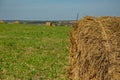 Hayfields in the Republic of Mordovia, Russia. Royalty Free Stock Photo