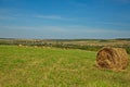 Hayfields in the Republic of Mordovia, Russia. Royalty Free Stock Photo