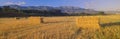 Hayfields in Upper Ojai Valley, California