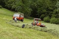 Haying Swiss farmers in alpine meadow, Switzerland