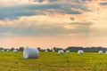 The haylage bales wrapped in white foil will provide food for farm animals during the winter.