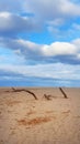 Hayle Towans Beach and driftwood Cornwall UK 