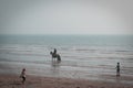 05/12/2020 Hayling Island, Hampshire, UK A woman riding a horse on a beach while children play in the water Royalty Free Stock Photo