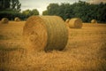 The hayloft. Harvest landscape with straw bales Royalty Free Stock Photo