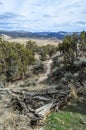 Haymaker Bike Trail in Eagle, Colorado, USA Royalty Free Stock Photo