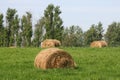 Haymaking Royalty Free Stock Photo