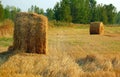 Haymaking in August Royalty Free Stock Photo