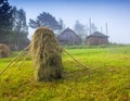 Haymaking in a Carpathian village. Royalty Free Stock Photo