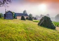 Haymaking in Carpathian village. Ukraine, Europe Royalty Free Stock Photo