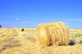 Haymaking, harvesting in the fields