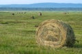 Haymaking, harvesting in the fields and hills Royalty Free Stock Photo