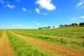 Haymaking in Sotland Royalty Free Stock Photo