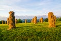 Haymaking in the ZÃâ¦b village in Podhale