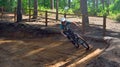 Young Man on downhill mountain bike course in woods.