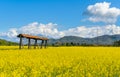 Hayrack in a field Royalty Free Stock Photo