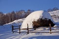 Hayrick at winter Royalty Free Stock Photo