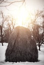 Hayrick in the winter sunny field