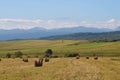 Hayricks in the field Royalty Free Stock Photo