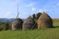 Hayricks in a mountainous area Royalty Free Stock Photo