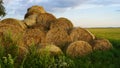 Hayricks in the russian fields. Royalty Free Stock Photo