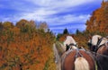 Hayride at the orchard Royalty Free Stock Photo