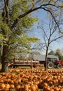 A hayride on a trailer pulled by a tractor. Royalty Free Stock Photo