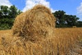 Hayrolls on crop field Royalty Free Stock Photo