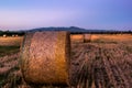 Hayrolls in Tuscany at the sunset Royalty Free Stock Photo