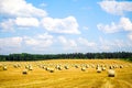 Haystack agriculture field landscape. Agriculture field hay stacks. Hay bale drying in the field at harvest time Royalty Free Stock Photo