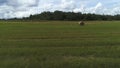 Haystack agriculture field landscape with pine trees growing in the distance against blue cloudy sky. Shot. Hay bales Royalty Free Stock Photo