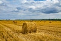 Haystack. Agriculture field with sky. Straw in the meadow. Grain harvest, harvest