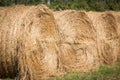 Haystack aligned in a field