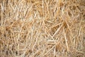 Haystack background natural yellow and brown Buy wheat