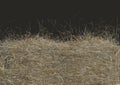 Haystack closeup isolated on black background with copy space. Top view. 3D render of straw.