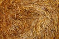 Haystack in the countryside of Belarus Royalty Free Stock Photo