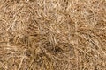 Haystack. Royalty Free Stock Photo