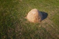 Haystack in a farm field on a warm summer day, top view. Landscape from a bird\'s eye view