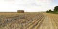 A Haystack field agricultural crop and wheat fields Royalty Free Stock Photo