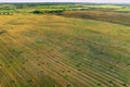 Haystack on field on blue sky background. Hay bale from residues grass. Hay stack for agriculture. Hay in rolls after combine Royalty Free Stock Photo