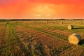 Haystack on field on blue sky background. Hay bale from residues grass. Hay stack for agriculture. Hay in rolls after combine Royalty Free Stock Photo