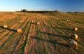 Haystack on field on blue sky background. Hay bale from residues grass. Hay stack for agriculture. Hay in rolls after combine Royalty Free Stock Photo