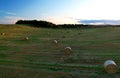 Haystack on field on blue sky background. Hay bale from residues grass. Hay stack for agriculture. Hay in rolls after combine Royalty Free Stock Photo