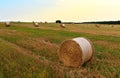Haystack on field on blue sky background. Hay bale from residues grass. Hay stack for agriculture. Hay in rolls after combine Royalty Free Stock Photo