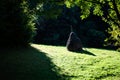 The haystack on the field Royalty Free Stock Photo