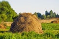 Haystack field grass view Royalty Free Stock Photo