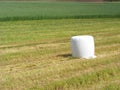 Haystack in the field. Harvesting. Agriculture in Belarus, Hay is packed into a white material Royalty Free Stock Photo