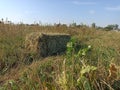 Haystack in the field. Seasonal photography