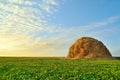 Haystack in the field Royalty Free Stock Photo