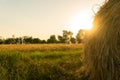 a haystack on a field in the sun Royalty Free Stock Photo